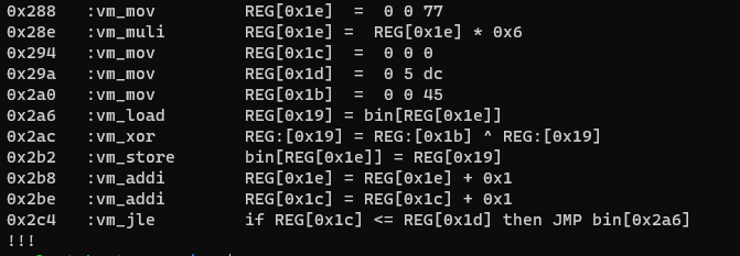 idisassembly1_encrypted_instruction.png